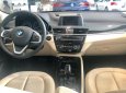 BMW X1   2018 - Bán BMW X1 mới 2018 - Nhập khẩu nguyên chiếc từ Đức - Ưu đãi BHVC + Coupon bảo dưỡng 1 năm