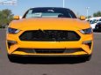 Ford Mustang Fastback 2019 - Cần bán xe Ford Mustang Fastback 2019, màu vàng, nhập khẩu 