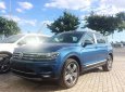 Volkswagen Tiguan   2018 - Cần bán Volkswagen Tiguan sản xuất 2018, màu xanh lam, xe nhập