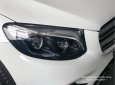 Mercedes-Benz GLC-Class 300 2018 - Phú Mỹ Hưng bán Mercedes-Benz GLC300 2019, mới 100%