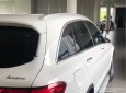 Mercedes-Benz GLC-Class 300 2018 - Phú Mỹ Hưng bán Mercedes-Benz GLC300 2019, mới 100%