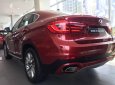 BMW X6 2018 - Bán xe BMW X6 sản xuất 2018