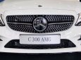 Mercedes-Benz C class C300 AMG  2020 - Giá xe Mercedes C300 AMG 2020, tặng 100% thuế trước bạ, giao ngay tại nhà