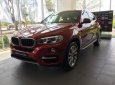 BMW X6 2018 - Bán xe BMW X6 sản xuất 2018