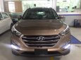 Hyundai Tucson   2019 - Cần bán xe Hyundai Tucson đời 2019, màu nâu 