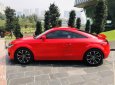 Audi TT 2009 - Bán ô tô Audi TT 2009, xe nhập giá cạnh tranh