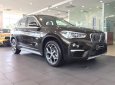 BMW X1 2018 - Bán BMW X1 đời 2019, màu nâu, nhập khẩu