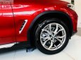 BMW X4 xDrive20i 2018 - Bán BMW X4 xDrive20i đời 2018, màu đỏ, nhập khẩu 