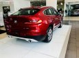 BMW X4 xDrive20i 2018 - Bán BMW X4 xDrive20i đời 2018, màu đỏ, nhập khẩu 