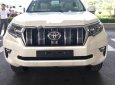 Toyota Prado 2019 - Bán xe Toyota Prado đời 2019, màu trắng, nhập khẩu