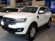 Ford Everest AM biente 2.0L AT 2018 - Bán xe Everest Ambiente AT 2.0L mới. Khuyến mại lớn