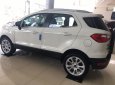 Ford EcoSport Titanium 1.5L  2018 - Bán ô tô Ford EcoSport Titanium 1.5L 2018, màu trắng, giá chỉ 624 triệu