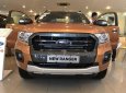Ford Ranger Wildtrak 2.0 4x2 2019 - Bán Ford Ranger năm sản xuất 2019, nhập khẩu Thái Lan