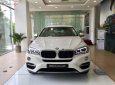 BMW X6 xDrive35i 2018 - BMW Phú Mỹ Hưng bán BMW X6 xDrive35i sản xuất 2018, xe mới 100%