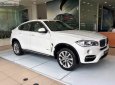 BMW X6 xDrive35i 2018 - BMW Phú Mỹ Hưng bán BMW X6 xDrive35i sản xuất 2018, xe mới 100%