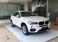 BMW X6 xDrive35i 2018 - BMW Phú Mỹ Hưng bán BMW X6 xDrive35i sản xuất 2018, xe mới 100%