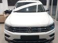 Volkswagen Tiguan 2019 - Ô tô Đức 2019 nhập khẩu, khác biệt, độc, lạ, trắng Ngọc Trinh giao ngay trong tuần, bank 85%, giải ngân nhanh