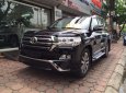 Toyota Land Cruiser VX 4.6 V8 AT 2017 - Bán xe Landcruiser 4.6 VXR mới 100%, nhập khẩu Trung Đông, màu đen, giao ngay. LH 093.798.2266