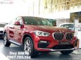 BMW X4 2019 - Bán xe BMW X4 năm sản xuất 2019, màu đỏ, một chiếc xe hoàn toàn phá cách