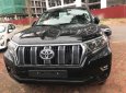 Toyota Land Cruiser 2019 - Cần bán xe Toyota Land Cruiser đời 2019, màu đen, nhập khẩu nguyên chiếc