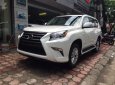 Lexus GX 460 2017 - Bán Lexus GX 460 sản xuất năm 2017, màu trắng, xe nhập