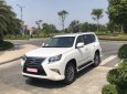 Lexus GX   AT  2016 - Cần bán lại xe Lexus GX AT năm 2016, màu trắng