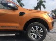 Ford Ranger Wildtrak 2019 - Bán Ford Ranger Wildtrak 2019, nhập khẩu