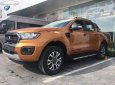 Ford Ranger Wildtrak 2019 - Bán Ford Ranger Wildtrak 2019, nhập khẩu