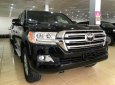 Toyota Land Cruiser 2019 - Bán ô tô Toyota Land Cruiser 5.7 Mỹ đời 2019, màu đen, nhập khẩu nguyên chiếc