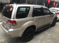 Ford Escape XLS 2.3L 4x2 AT 2009 - Cần bán lại xe Ford Escape XLS 2.3L 4x2 AT đời 2009, màu hồng  