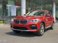 BMW X4 xDrive20i 2018 - Bán BMW X4 mới - chưa đăng ký