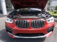 BMW X4 xDrive20i 2018 - Bán BMW X4 mới - chưa đăng ký