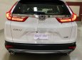 Honda CR V G 2019 - Cần bán Honda CR V G năm 2019, màu trắng, nhập khẩu