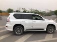 Lexus GX  460 Luxury 2017 - Bán ô tô Lexus GX460 Luxury sản xuất 2017, màu trắng, nhập khẩu còn bảo hành chính hãng