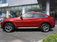 BMW X4 xDrive20i 2018 - Bán BMW X4 mới - chưa đăng ký