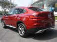 BMW X4 xDrive20i 2018 - Bán BMW X4 mới - chưa đăng ký