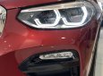 BMW X4 xDrive20i 2018 - Bán BMW X4 mới - chưa đăng ký