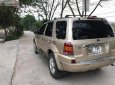 Ford Escape 3.0 V6 2002 - Bán ô tô Ford Escape 3.0 V6 đời 2002, màu vàng