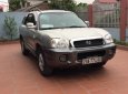 Hyundai Santa Fe Gold 2.0 AT 2003 - Cần bán xe Hyundai Santa Fe Gold 2.0 AT 2003, màu bạc, xe nhập