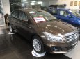 Suzuki Ciaz 2019 - Bán xe Suzuki Ciaz năm sản xuất 2019, màu nâu, nhập khẩu, 455tr