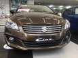 Suzuki Ciaz 2019 - Bán xe Suzuki Ciaz năm sản xuất 2019, màu nâu, nhập khẩu, 455tr