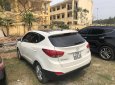 Hyundai Tucson 2010 - Xe Hyundai Tucson đời 2010, màu trắng, nhập khẩu nguyên chiếc