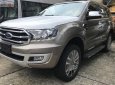 Ford Everest Titanium 2.0L 4x4 AT 2019 - Bán Ford Everest Titanium 2.0L 4x4 AT sản xuất 2019, xe nhập, nhẹ nhàng onroad, mạnh mẽ offroad