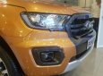 Ford Ranger Wildtrak 2.0L 4x4 AT 2019 - Bán Ford Ranger Wildtrak 2.0L 4x4 AT đời 2019, nhập khẩu Thái Lan