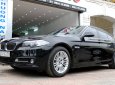 BMW 5 Series 520i 2015 - Cần bán lại xe BMW 5 Series 520i năm sản xuất 2015, màu đen, nhập khẩu  