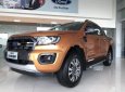 Ford Ranger Wildtrak 2.0 Biturbo 2019 - Cần bán xe Ford Ranger Wildtrak 2.0 Biturbo sản xuất 2019, nhập khẩu, gầm cao, máy mạnh