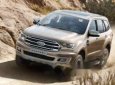 Ford Everest 2019 - Bán Ford Everest đời 2019, nhập khẩu