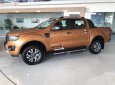 Ford Ranger Wildtrak 2.0 Biturbo 2019 - Cần bán xe Ford Ranger Wildtrak 2.0 Biturbo sản xuất 2019, nhập khẩu, gầm cao, máy mạnh