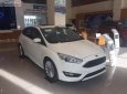 Ford Focus Sport 1.5L 2019 - Bán Focus 1.5 Sport 2019, số tự động, máy xăng, màu trắng