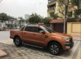 Ford Ranger  3.2  AT 2017 - Bán xe Ford Ranger 3.2  AT sản xuất 2017, màu nâu, xe nhập